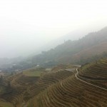 Reis-Terrassen bei Pingan